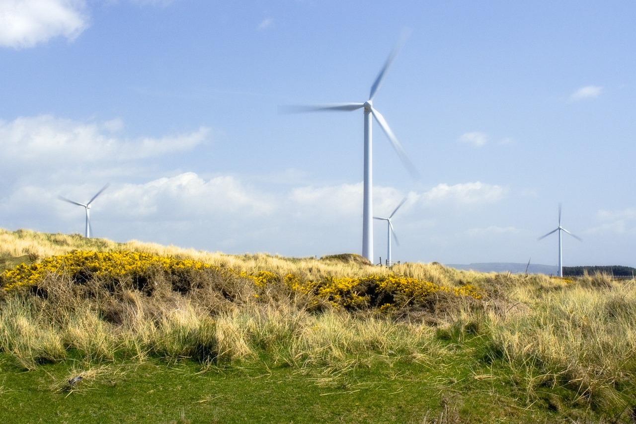 Renewable Resources and Green Energy Solutions - A Guide